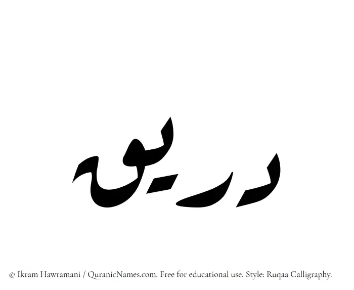 The Muslim name Dareeq written in Ruqaa calligraphic script