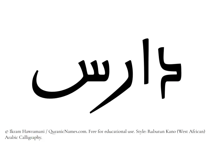 The Muslim name Daris written in Rubutun Kano calligraphic script