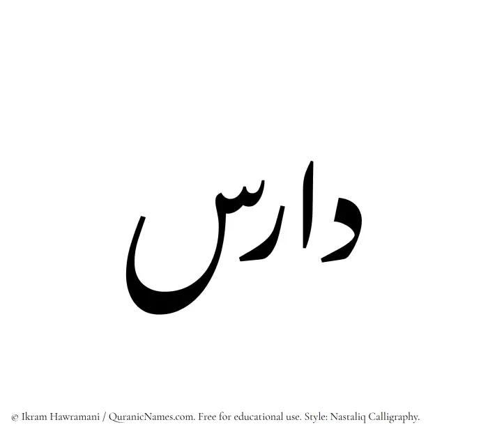 The Muslim name word Daris written in Nastaliq calligraphic script