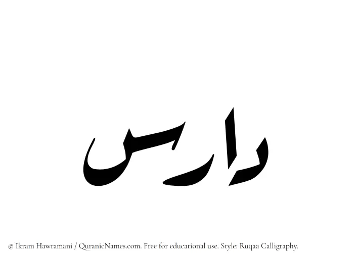 The Muslim name Daris written in Ruqaa calligraphic script