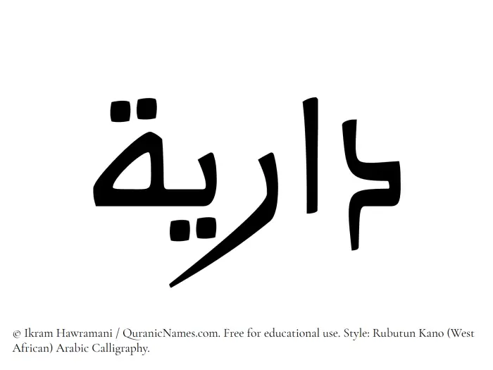 The Muslim name Dariya written in Rubutun Kano calligraphic script