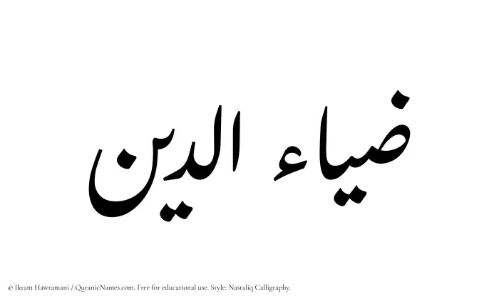 The Muslim name word Diaudin written in Nastaliq calligraphic script