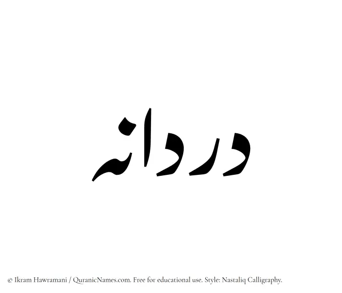The Muslim name word Dordaneh written in Nastaliq calligraphic script