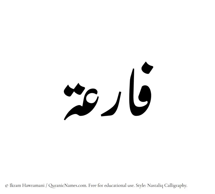 The Muslim name word Faaria written in Nastaliq calligraphic script