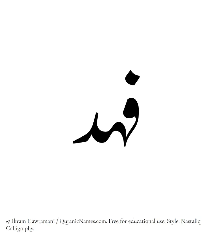 The Muslim name word Fahd written in Nastaliq calligraphic script