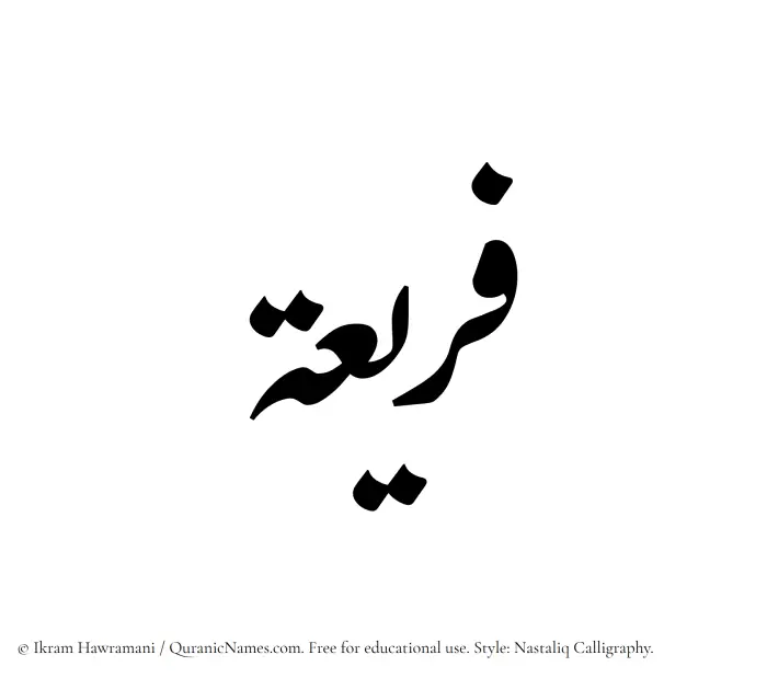 The Muslim name word Fareea written in Nastaliq calligraphic script