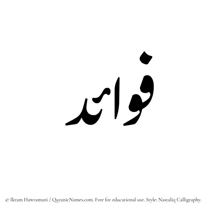 The Muslim name word Fawaid written in Nastaliq calligraphic script