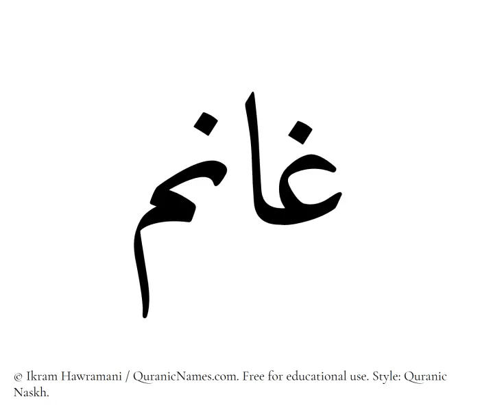 The Muslim name Ghaanim written in Quranic naskh script