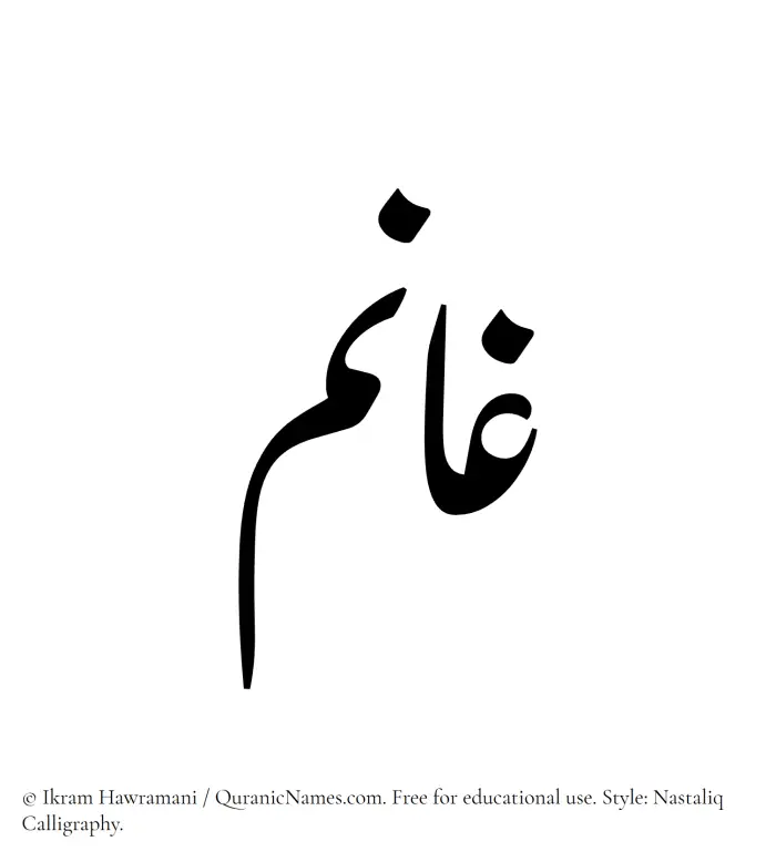 The Muslim name word Ghaanim written in Nastaliq calligraphic script