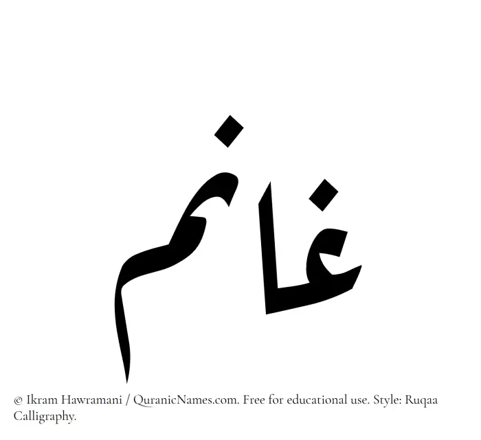 The Muslim name Ghaanim written in Ruqaa calligraphic script