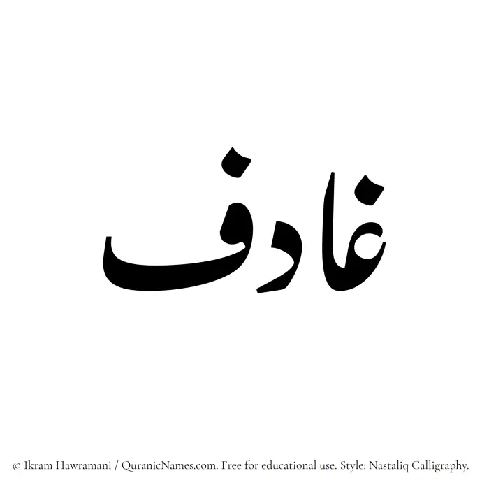 The Muslim name word Ghadif written in Nastaliq calligraphic script