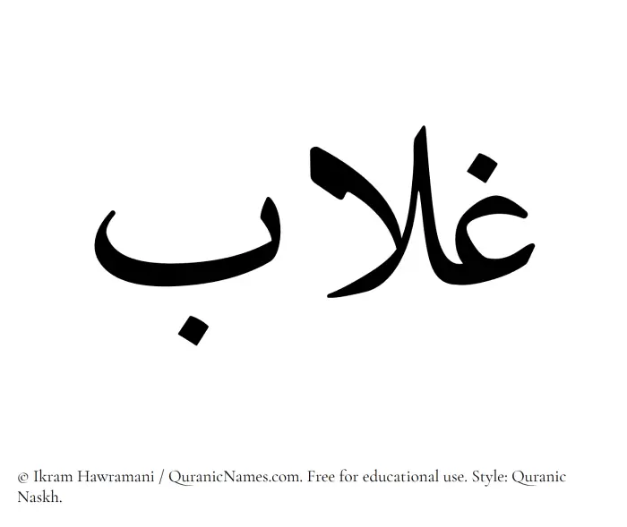 The Muslim name Ghallab written in Quranic naskh script