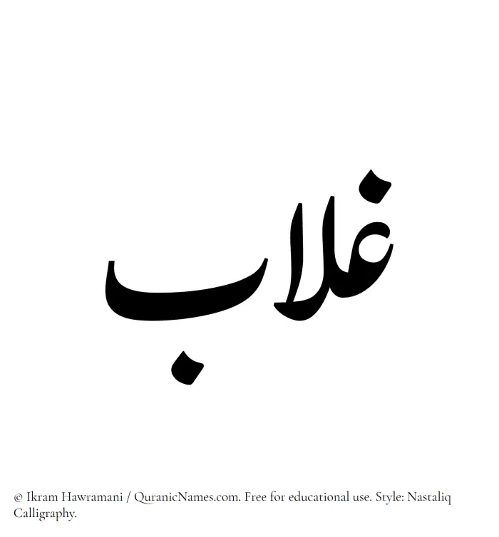 The Muslim name word Ghallab written in Nastaliq calligraphic script