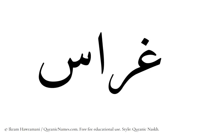 The Muslim name Gharras written in Quranic naskh script