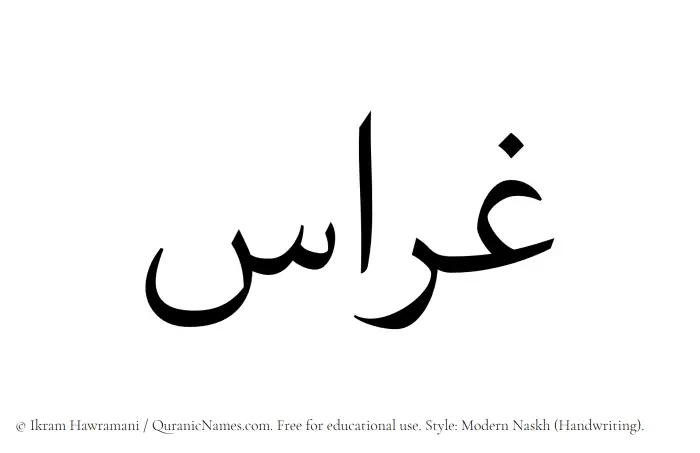 The Muslim name Gharras written in naskh script