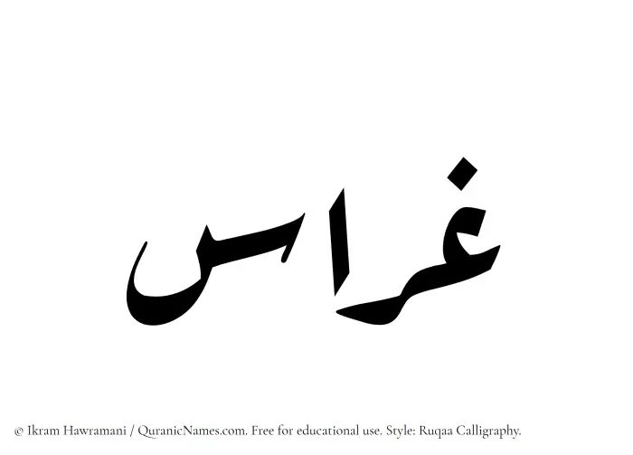 The Muslim name Gharras written in Ruqaa calligraphic script