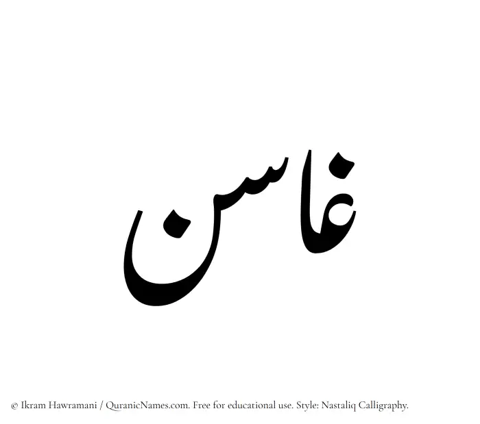 The Muslim name word Ghasin written in Nastaliq calligraphic script