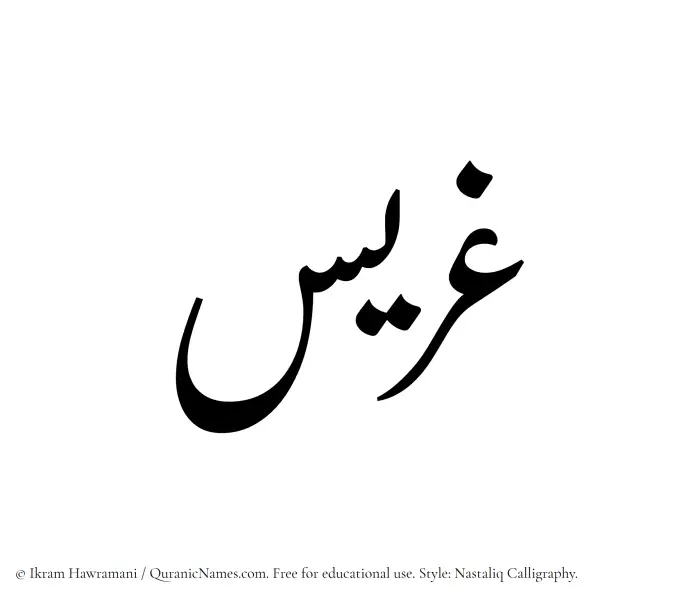 The Muslim name word Ghurais written in Nastaliq calligraphic script
