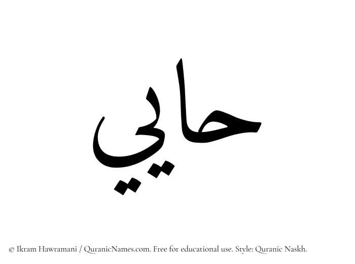 The Muslim name Haayi written in Quranic naskh script