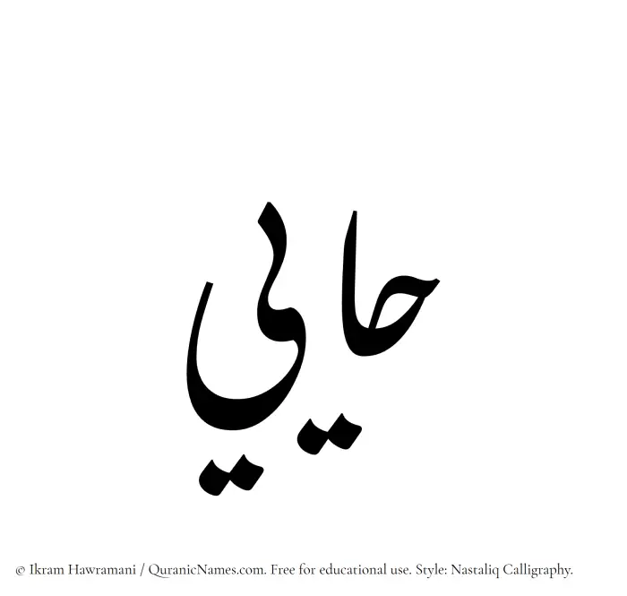 The Muslim name word Haayi written in Nastaliq calligraphic script
