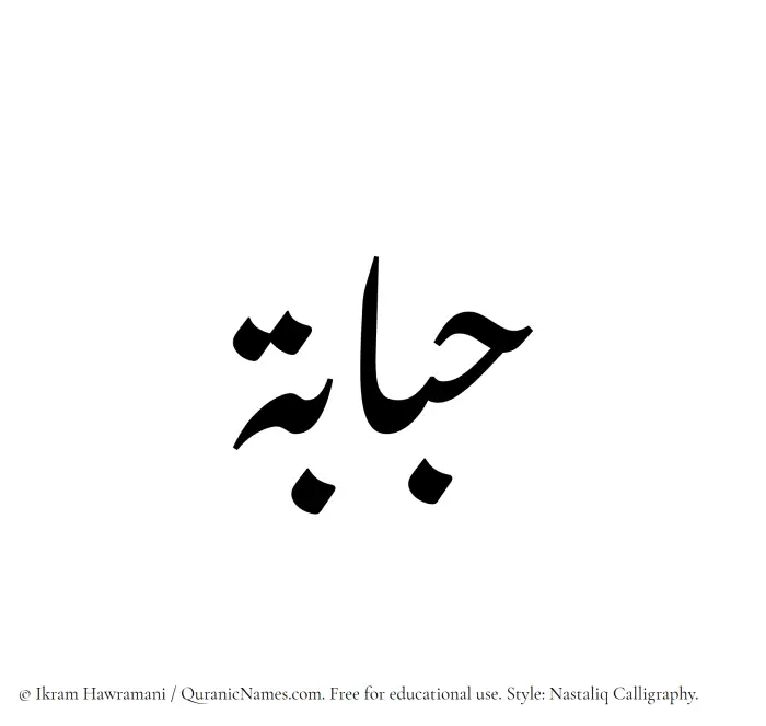 The Muslim name word Hababah written in Nastaliq calligraphic script