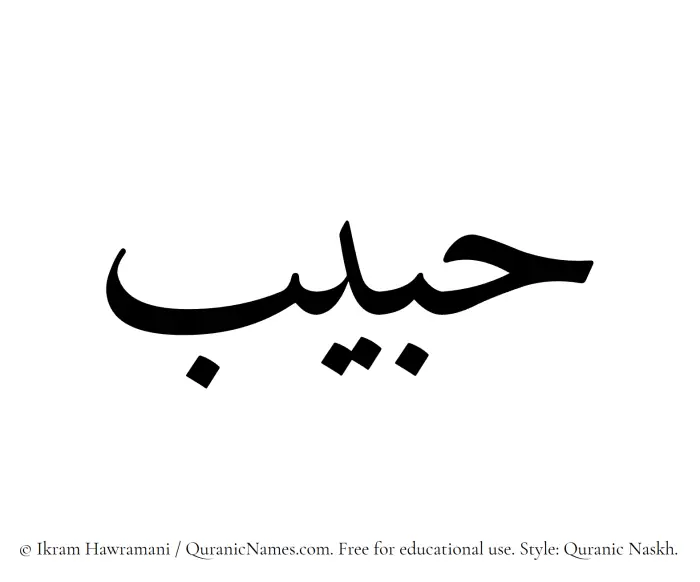 The Muslim name Habib written in Quranic naskh script