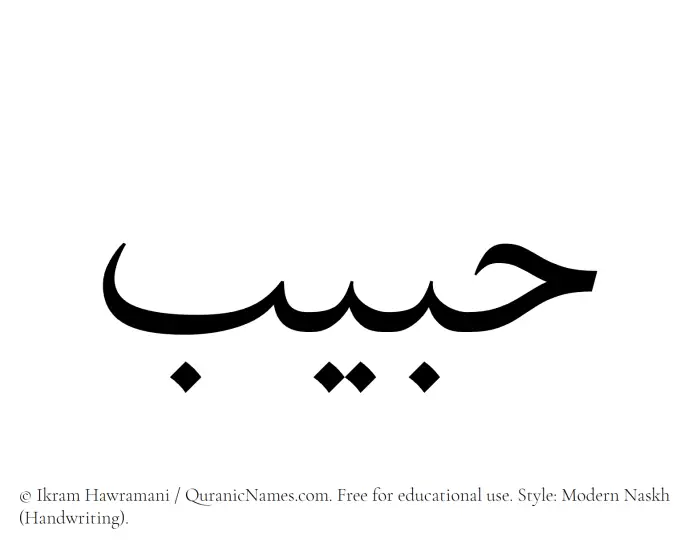 The Muslim name Habib written in naskh script