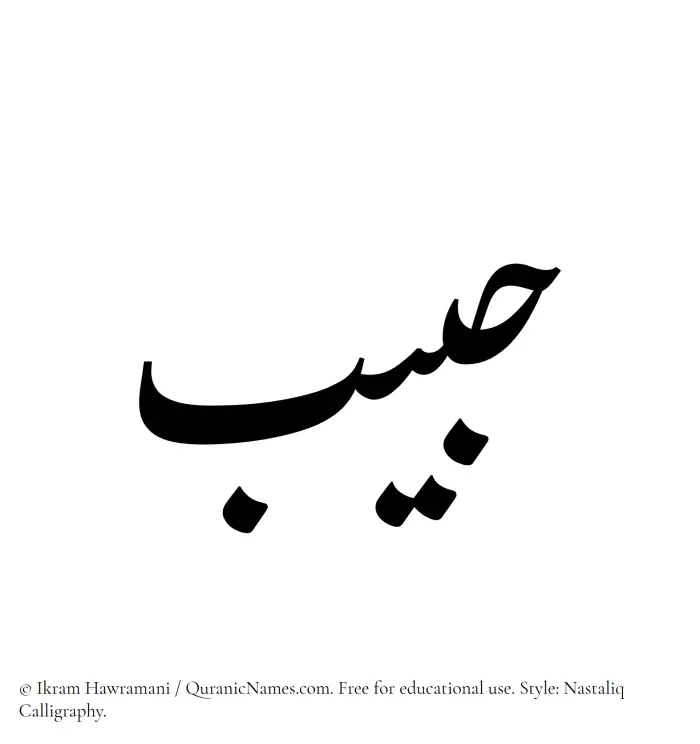 The Muslim name word Habib written in Nastaliq calligraphic script