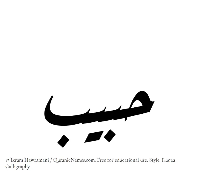 The Muslim name Habib written in Ruqaa calligraphic script
