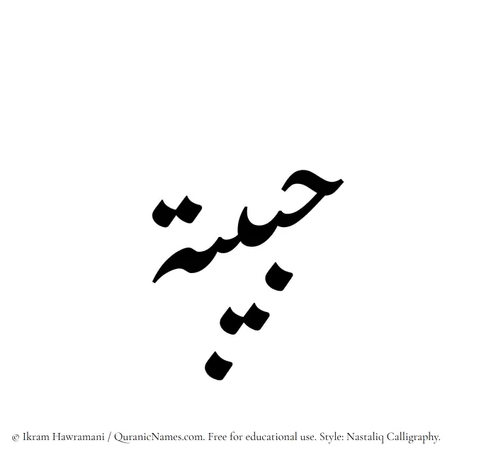 The Muslim name word Habibah written in Nastaliq calligraphic script