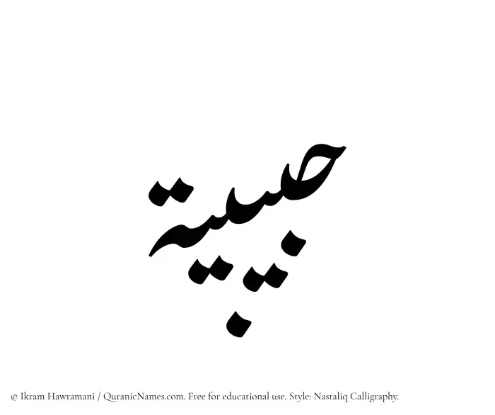 The Muslim name word Habibiyyah written in Nastaliq calligraphic script