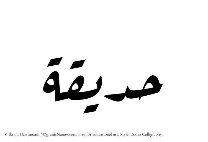 The Muslim name Hadiqah written in Ruqaa calligraphic script