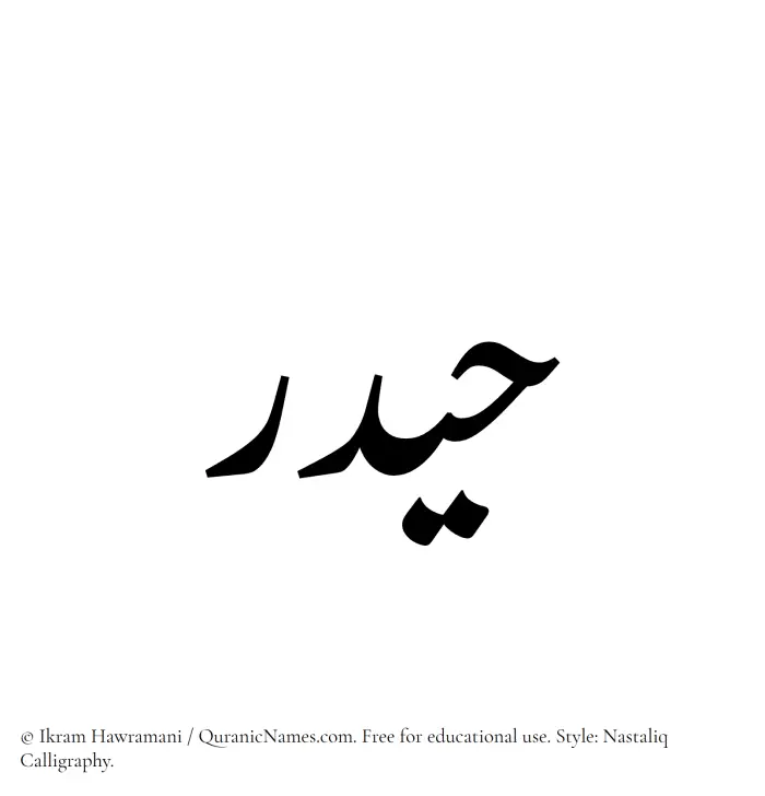 The Muslim name word Haidar written in Nastaliq calligraphic script