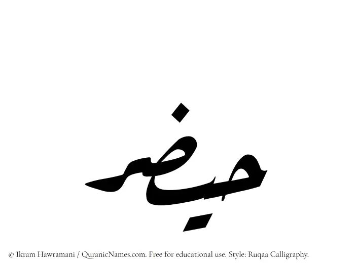 The Muslim name Haizar written in Ruqaa calligraphic script