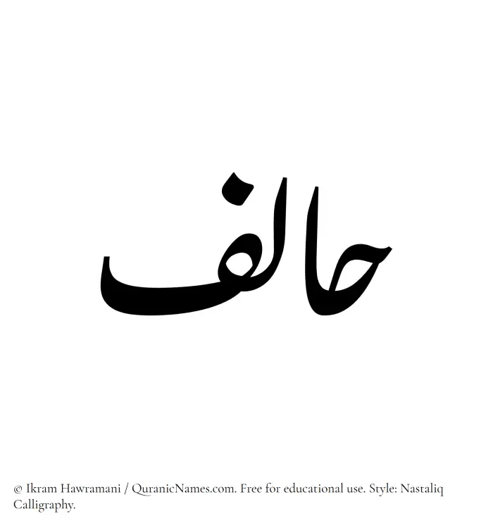 The Muslim name word Halif written in Nastaliq calligraphic script