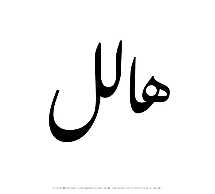 The Muslim name word Halil written in Nastaliq calligraphic script
