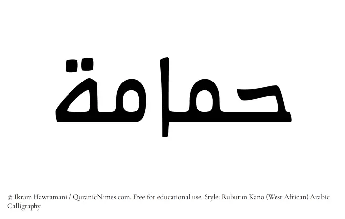 The Muslim name Hamamah written in Rubutun Kano calligraphic script