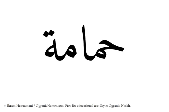 The Muslim name Hamamah written in Quranic naskh script