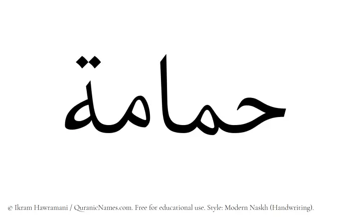 The Muslim name Hamamah written in naskh script
