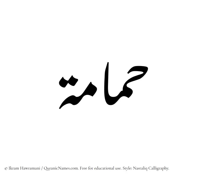 The Muslim name word Hamamah written in Nastaliq calligraphic script