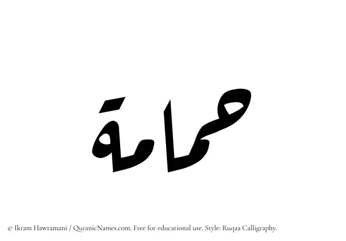 The Muslim name Hamamah written in Ruqaa calligraphic script