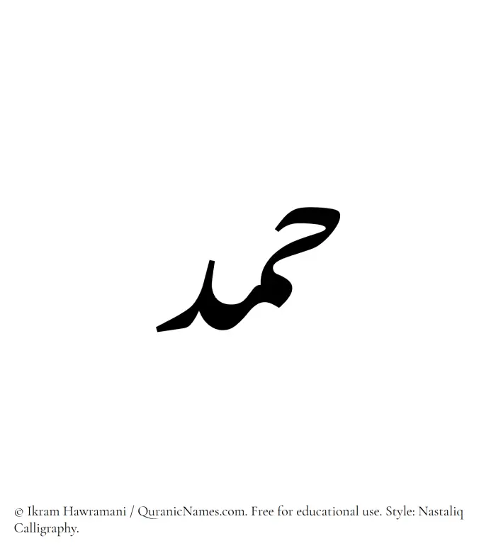 The Muslim name word Hamd written in Nastaliq calligraphic script