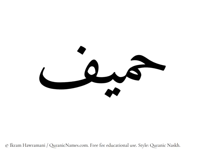 The Muslim name Hameef written in Quranic naskh script