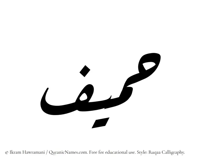 The Muslim name Hameef written in Ruqaa calligraphic script