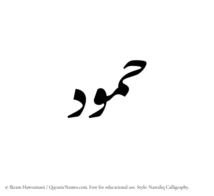 The Muslim name word Hammud written in Nastaliq calligraphic script