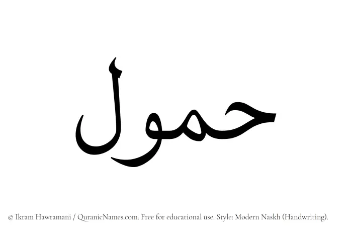 The Muslim name Hamool written in naskh script