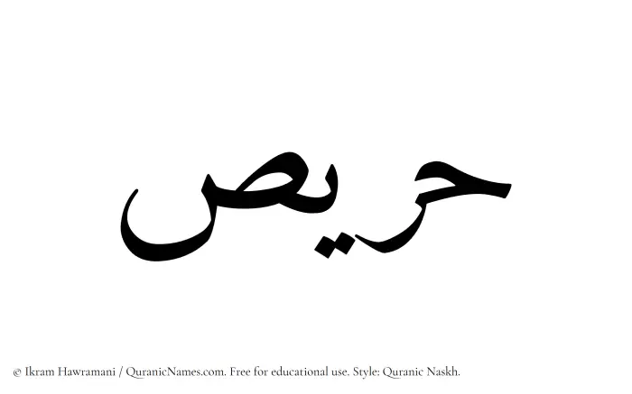 The Muslim name Harees written in Quranic naskh script