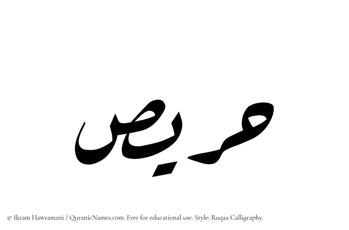 The Muslim name Harees written in Ruqaa calligraphic script