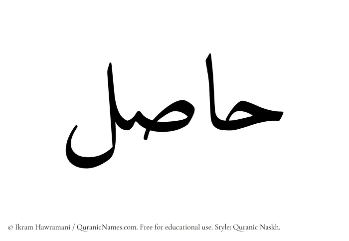 The Muslim name Hasil written in Quranic naskh script