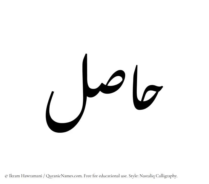 The Muslim name word Hasil written in Nastaliq calligraphic script
